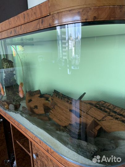 Обслуживание аквариумов