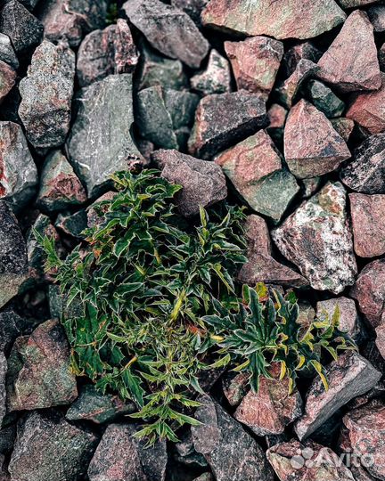 Щебень гравийный