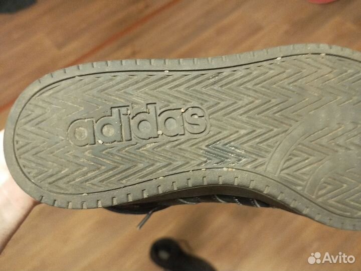 Демисезонные кеды adidas