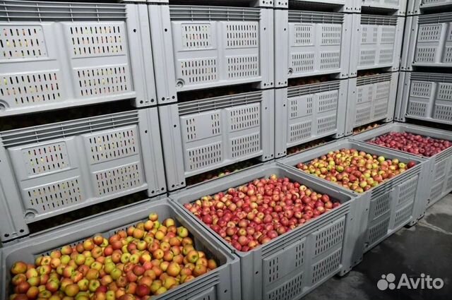 Большие Пластиковые Ящики Контейнеры Agro Box