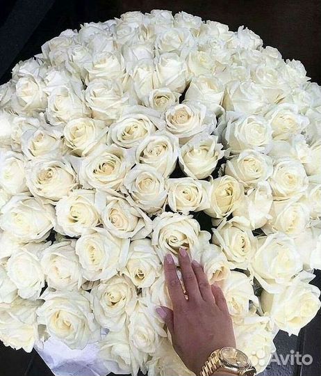 Розы гиганты 140 150 160 170 180 200