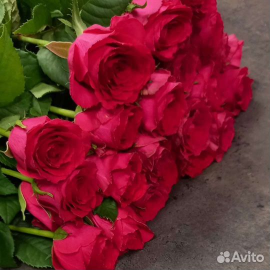 Розы ярко малиновые