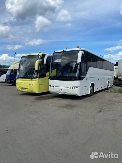 Заказ, аренда автобуса и микроавтобуса с водителем