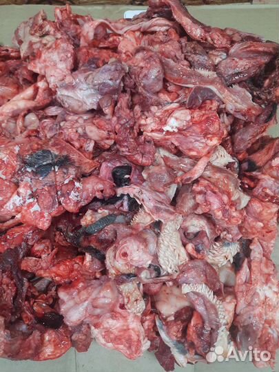 Корм для животных