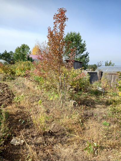 Дача 18,4 м² на участке 9,9 сот.