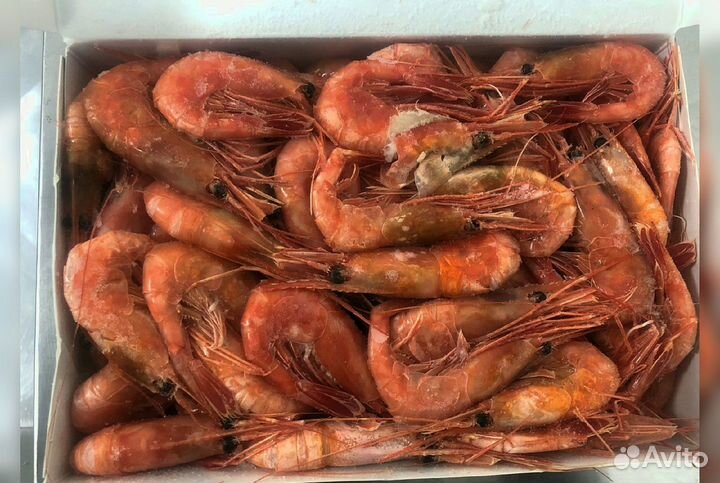 Краб, Креветка, Гребешок