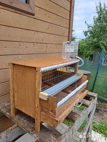 Клетка на 10-15 перепелов