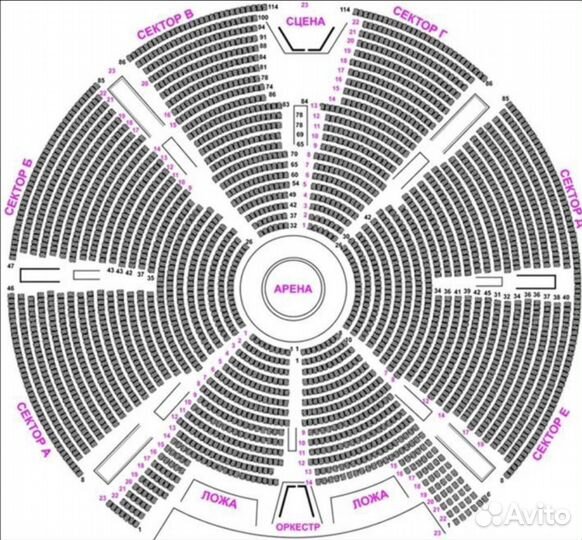 Цирк на Проспекте Вернадского 