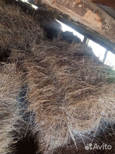 Сено в тюках