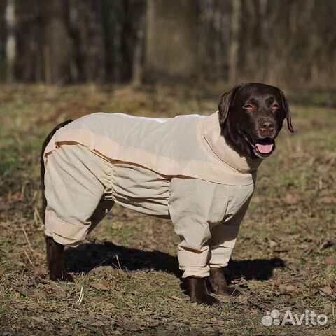 Комбинезоны от клещей с ловушками (размеры 25-70)