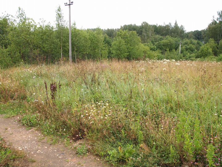 Участок 8,5 сот. (СНТ, ДНП)