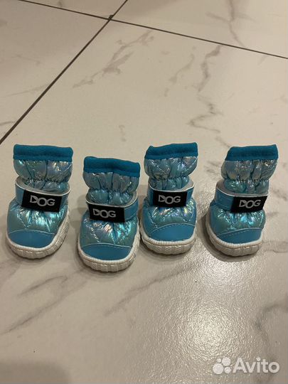 Обувь для собак