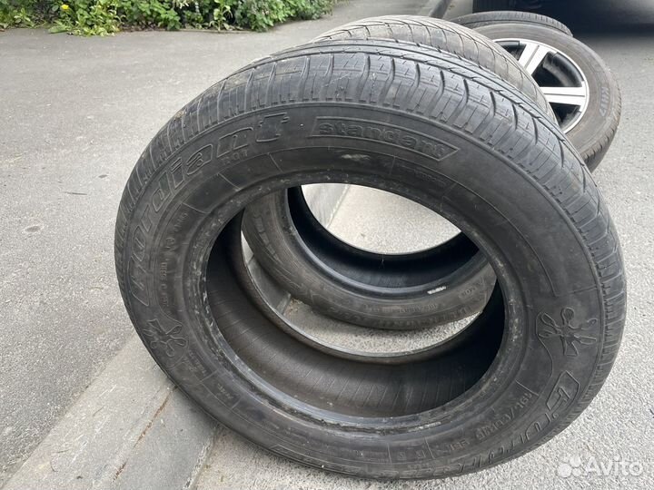 Cordiant Standart RG1 195/65 R15