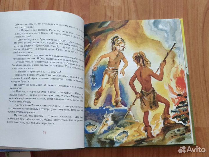 Книга Приключения доисторического мальчика