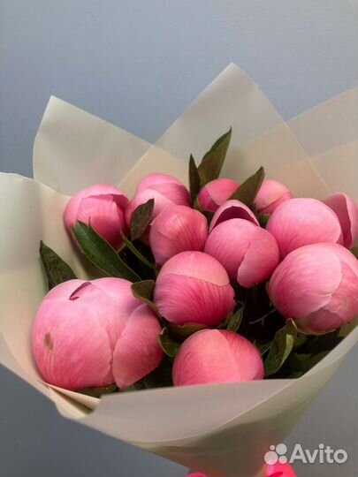 101 Роза букеты Цветы 51 доставка 24/7