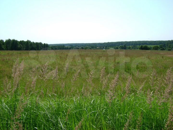 Участок 165 га (СНТ, ДНП)