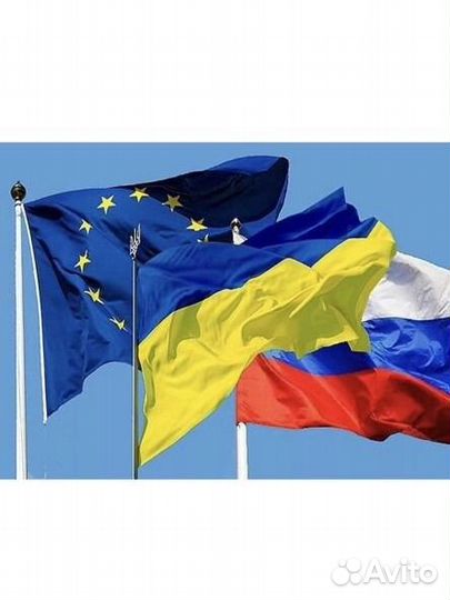 Водитель микроавтобуса