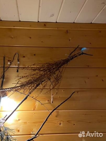 Хобби для животных