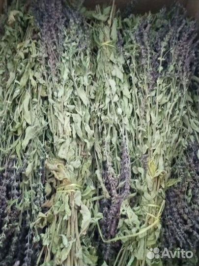 Запарка для чана, бани,сауны и ванны