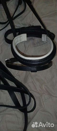 Амуниция для лошади и всадника