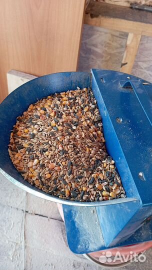 Корм для кур несушек