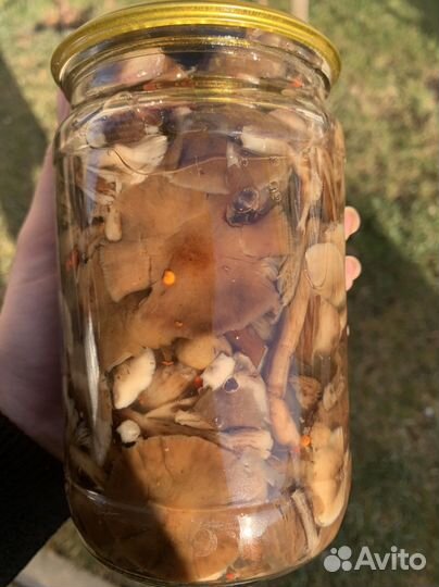 Грибы маринованные
