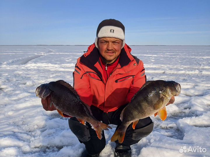 Рыбалка. Рыбалка с гидом