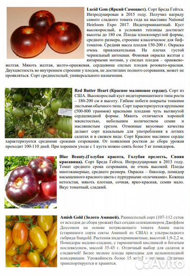 Томат Черная Красавица и другие семена Каталог