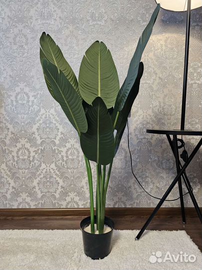 Искусственная пальма Искусственные растения