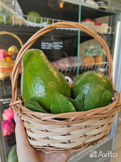 Авокадо свежее из Таиланда