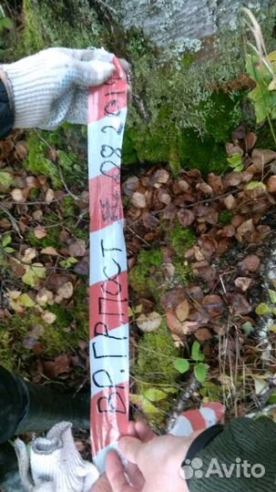 Гидролог, Эколог