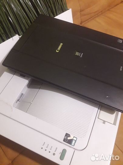 Принтер Brother & Canon