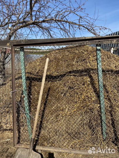 Конский навоз