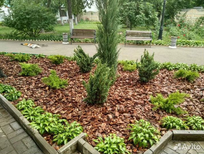 Кора сосновая от производителя оптом и в розницу