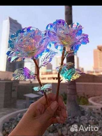 Светящаяся роза