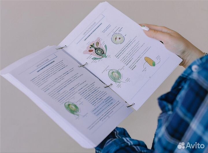 Пособие для подготовки к егэ/огэ