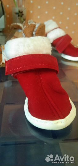 Обувь для маленькой собачки