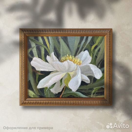 Картина маслом на холсте Белый пион