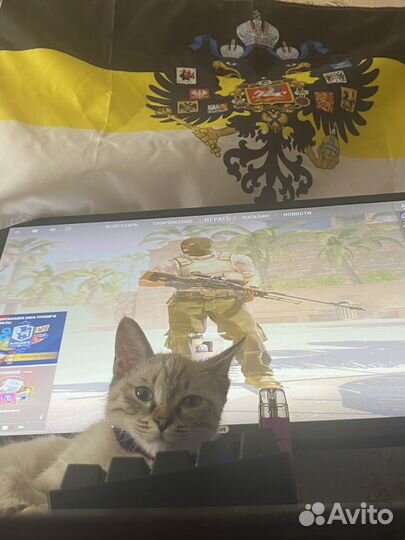 Монитор LG 27MP59G - P full hd 75 hz