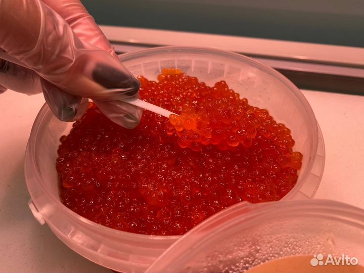 Красная икра. Только опт. Свежий улов