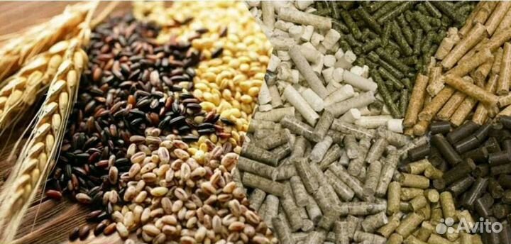 Комбикорм