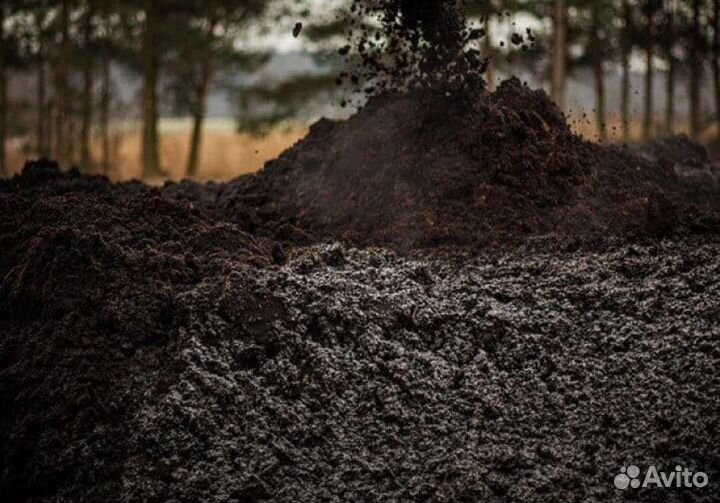 Торф низинный