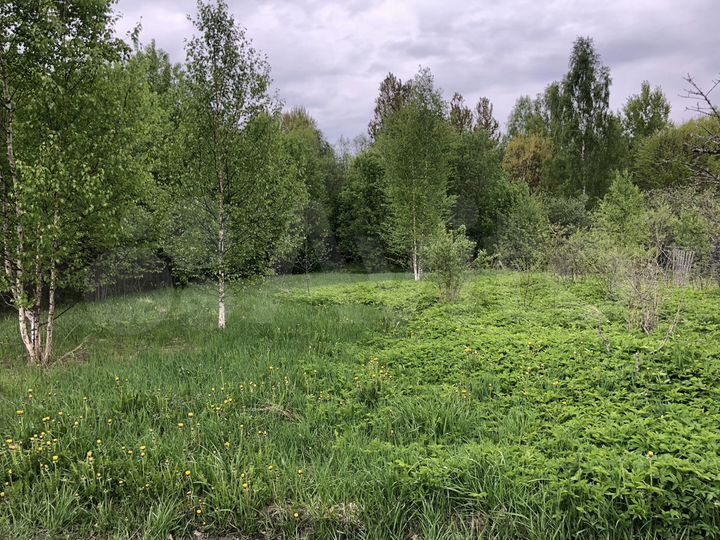 Участок 10 сот. (СНТ, ДНП)