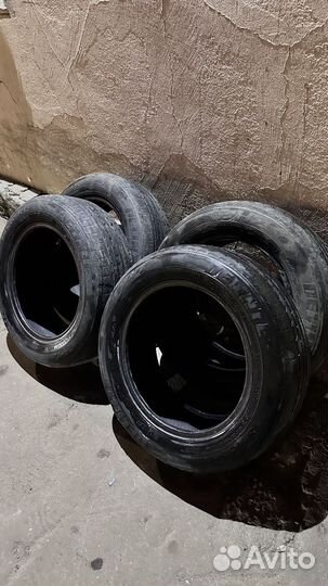 Delinte DH2 185/65 R15 88T