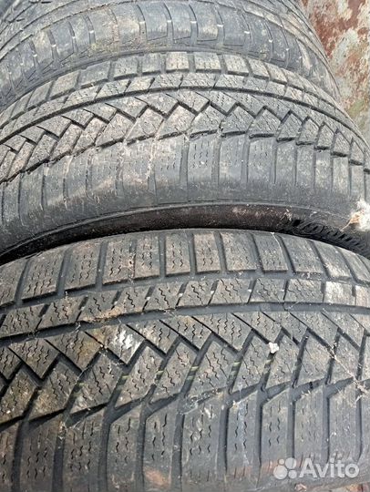 Hankook Winter I'Cept Evo 205/60 R16