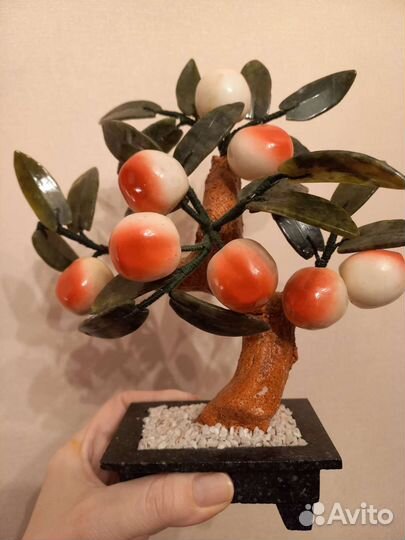 Дерево персиковое