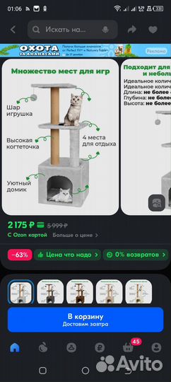 Домик-когтеточка, лежанка, влажный корм для котят