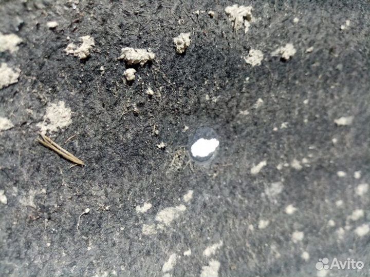 Подкрылок задний левый Audi A6 C5 APR 2000