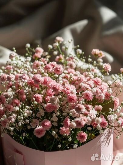 Гипсофила,Композиции из гипсофил