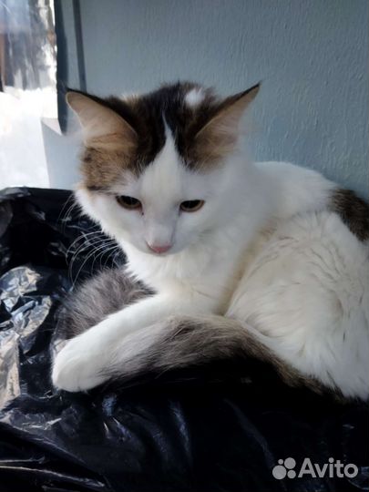 В заботливые и любящие ручки